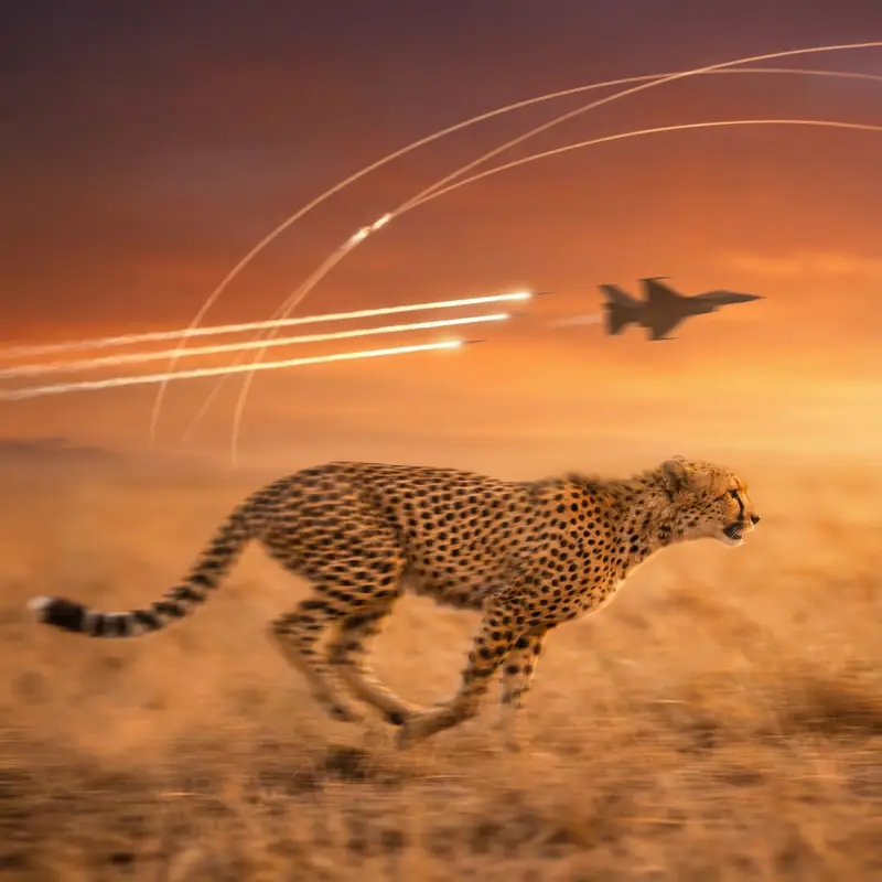 Guepardo corriendo a máxima velocidad - Aviator Betinia